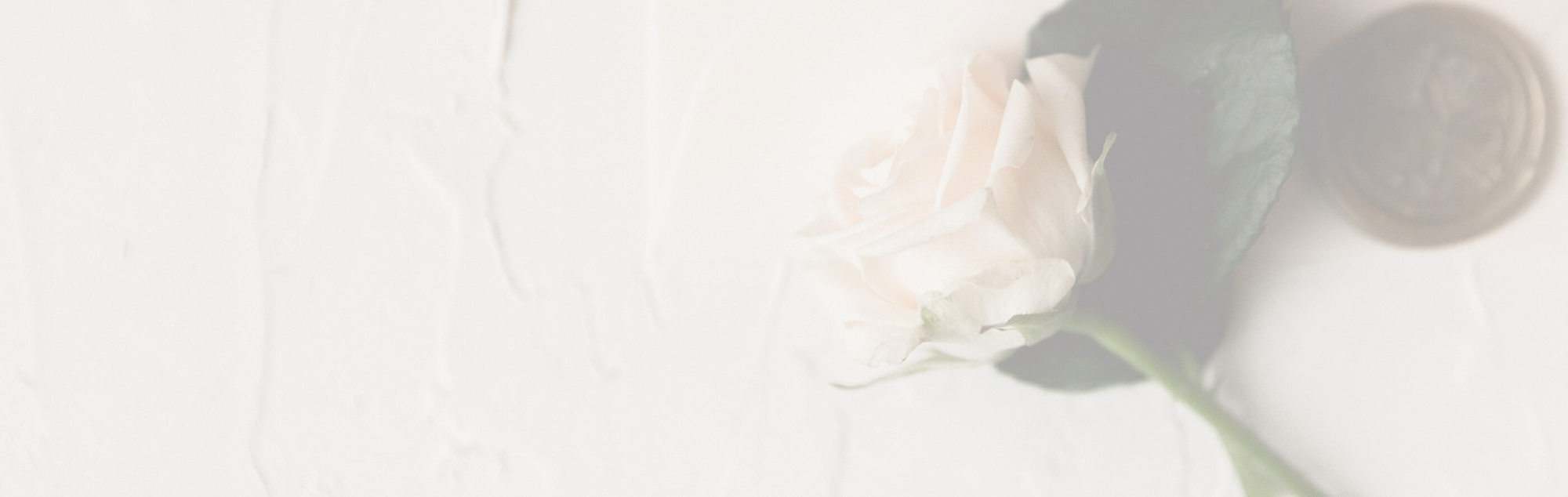 Photo of the rose - Desktop Image