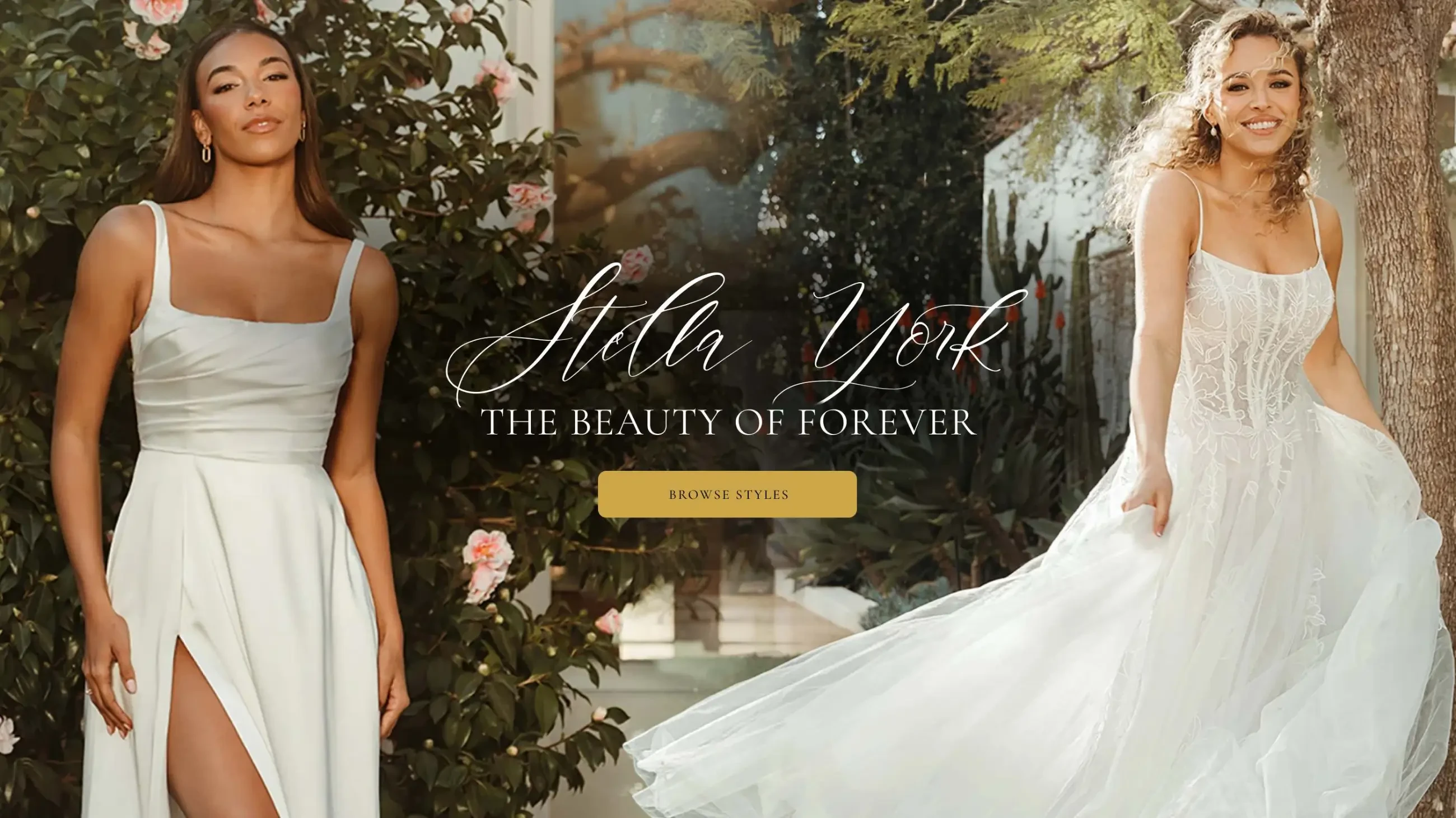 Stella York Fall 2025 Desktop Banner
